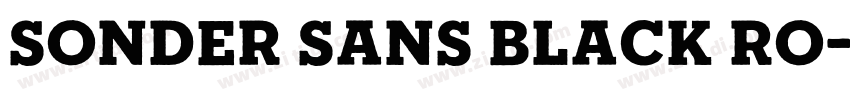 Sonder Sans Black Ro字体转换